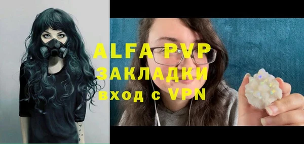 Альфа ПВП Горняк