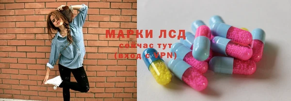 гидропоника Горнозаводск