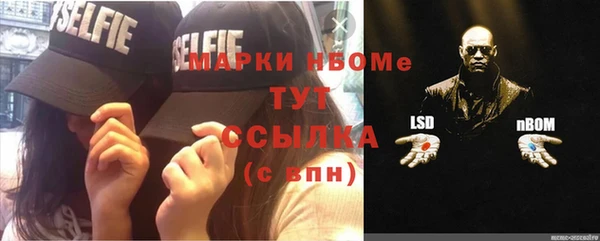 гидропоника Горнозаводск