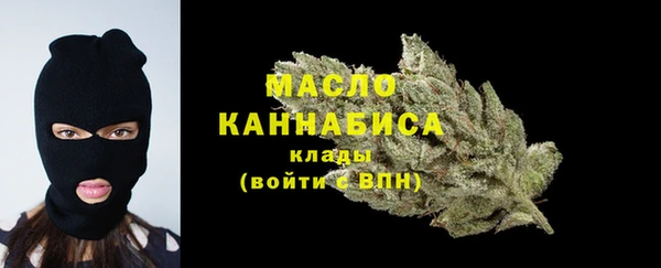 гидропоника Горнозаводск