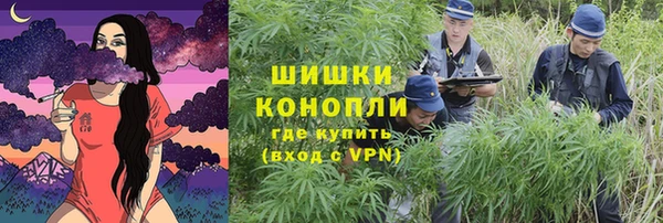 Альфа ПВП Горняк