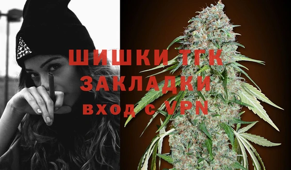 мдпв Горно-Алтайск