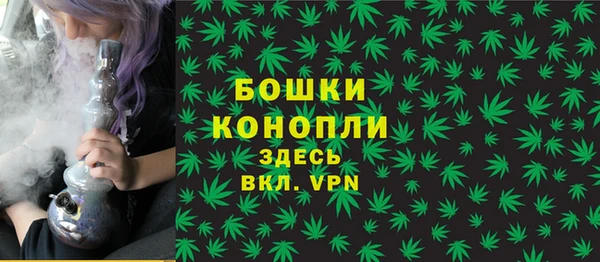 Альфа ПВП Горняк